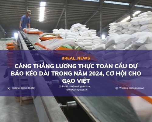 Căng thẳng lương thực toàn cầu dự báo kéo dài trong năm 2024, cơ hội cho gạo Việt