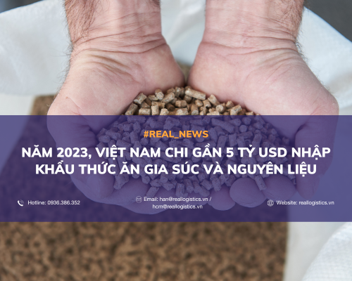 Năm 2023, Việt Nam chi gần 5 tỷ USD nhập khẩu thức ăn gia súc và nguyên liệu