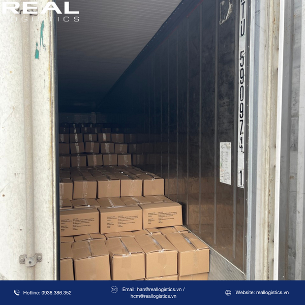 Real Logistics là đơn vị vận chuyển và xuất khẩu ngô ngọt