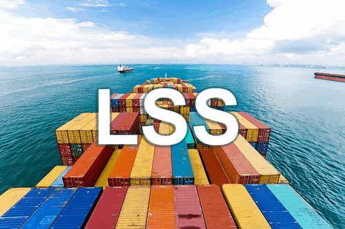 Tìm hiểu về phụ phí LSS